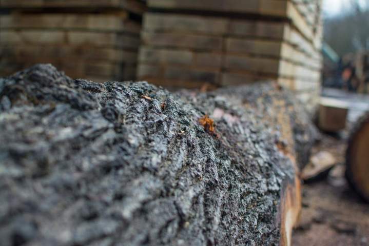 Approvisionnement en bois de construction Orne