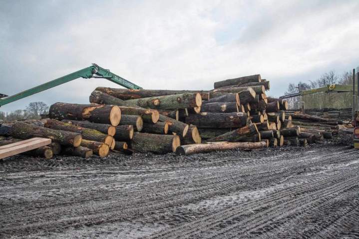 Wood Materials for Construction Orne